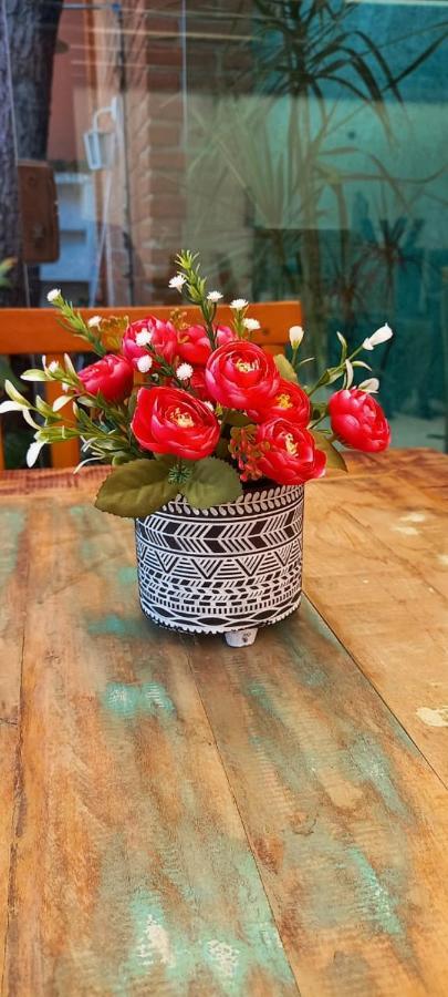 Bliss Hoteis Centro Búzios Εξωτερικό φωτογραφία A flower pot