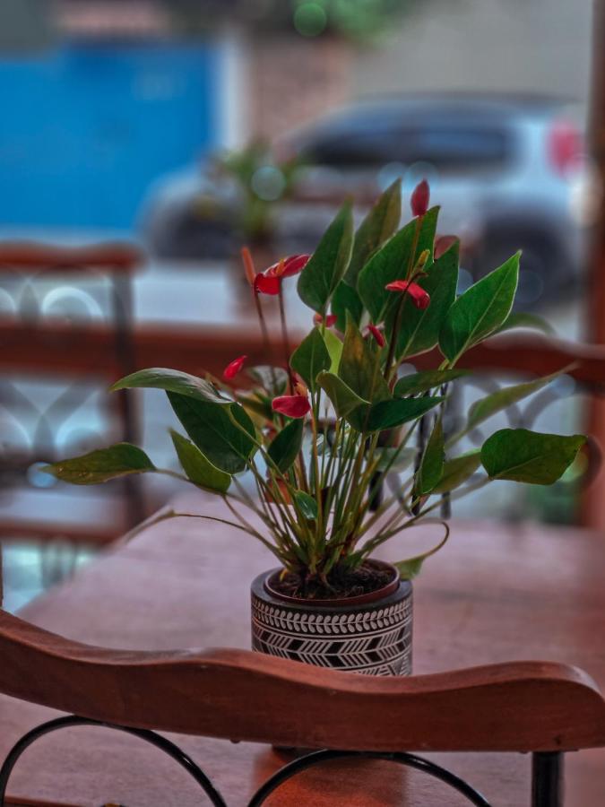 Bliss Hoteis Centro Búzios Εξωτερικό φωτογραφία Anthurium